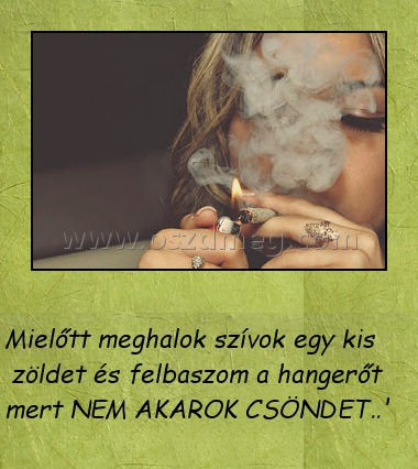 
 
Mielőtt meghalok szívok egy kis zöldet és felbaszom a hangerőt mert NEM AKAROK CSÖNDET..' 