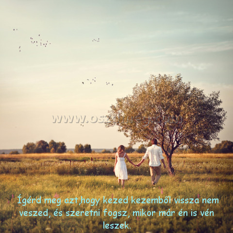  Ígérd meg azt
 
 Ígérd meg azt,hogy kezed kezemből vissza nem veszed, és szeretni fogsz, mikor már én is vén leszek.