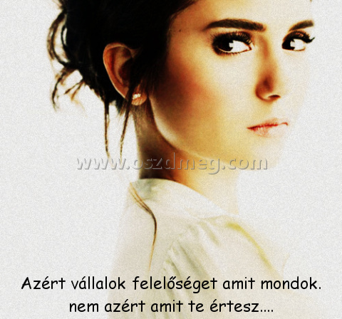 Azért vállalok felelőséget amit
 
Azért vállalok felelőséget amit mondok. nem azért amit te értesz....