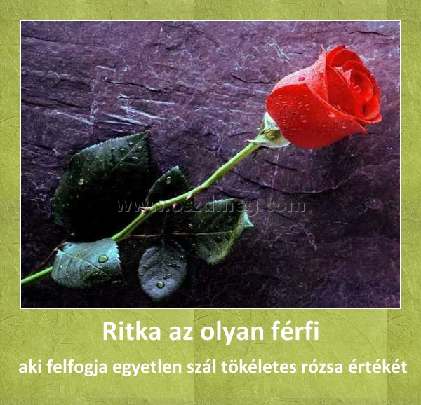 Ritka az olyan férfi
 
 aki felfogja egyetlen szál tökéletes rózsa értékét