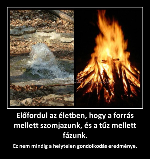 Előfordul az életben, hogy a forrás mellett szomjazunk, és a tűz mellett fázunk.
 
Ez nem mindig a helytelen gondolkodás eredménye.