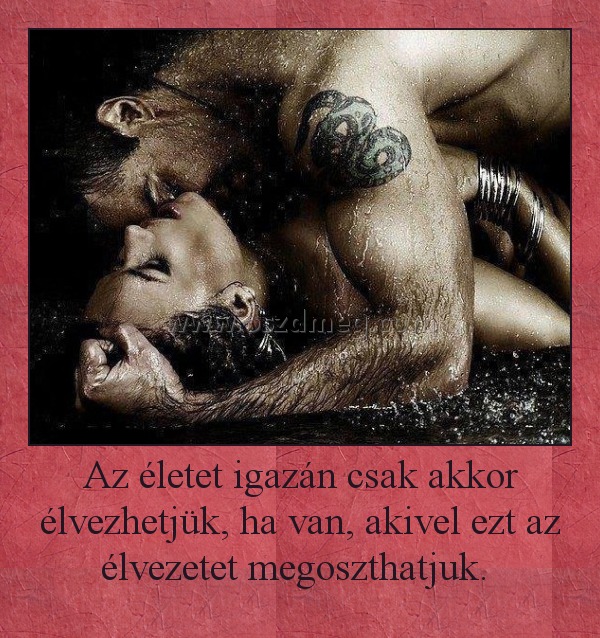 Az életet igazán csak akkor élvezhetjük, ha van, akivel ezt az élvezetet megoszthatjuk. 
 
