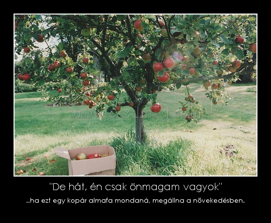 "De hát, én csak önmagam vagyok"
 
..ha ezt egy kopár almafa mondaná, megállna a növekedésben.