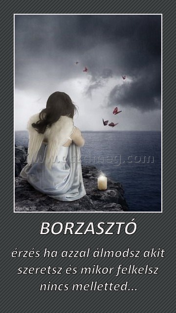 BORZASZTÓ
 
érzés ha azzal álmodsz akit szeretsz és mikor felkelsz nincs melletted...