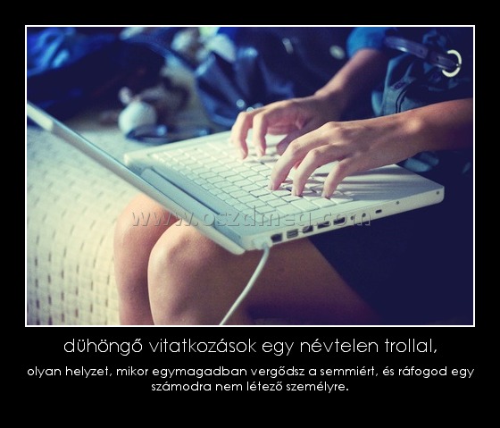 dühöngő vitatkozások egy névtelen trollal,
 
olyan helyzet, mikor egymagadban vergődsz a semmiért, és ráfogod egy számodra nem létező személyre.
