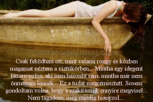 Csak feküdtem ott
 
Csak feküdtem ott, mint valami rongy és közben magamat néztem a viztükörben... Mintha egy idegent láttam volna, aki nem hasonlít rám, mintha már nem önmagam lennék... Ez a tudat megrémisztett. Sosem gondoltam volna, hogy a szakításunk ennyire megvisel... Nem tagadom, még mindig hiányzol... 