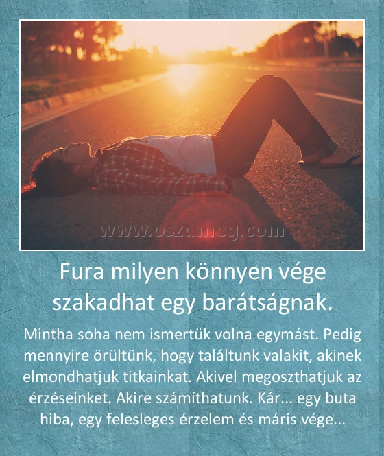 Fura milyen könnyen vége szakadhat egy barátságnak.
 
Mintha soha nem ismertük volna egymást. Pedig mennyire örültünk, hogy találtunk valakit, akinek elmondhatjuk titkainkat. Akivel megoszthatjuk az érzéseinket. Akire számíthatunk. Kár... egy buta hiba, egy felesleges érzelem és máris vége...