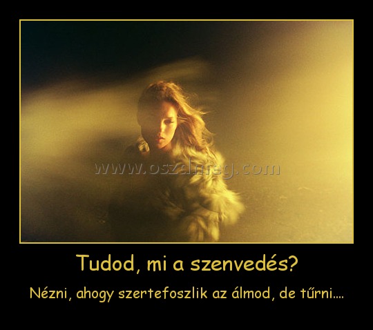 Tudod, mi a szenvedés? Tudod, mi a szenvedés?
Nézni, ahogy szertefoszlik az álmod, de tűrni....