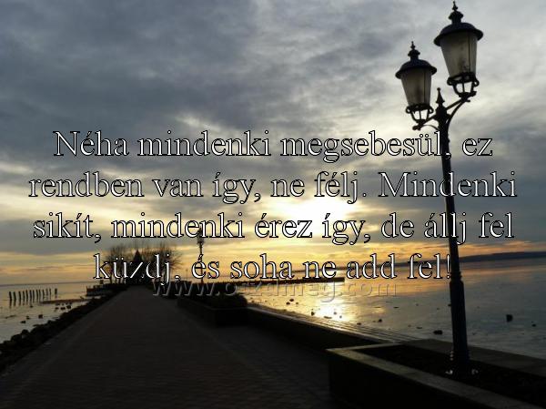 Néha mindenki megsebesül
 
Néha mindenki megsebesül, ez rendben van így, ne félj. Mindenki sikít, mindenki érez így, de állj fel küzdj, és soha ne add fel!