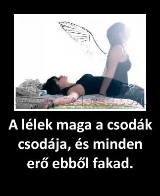 A lélek maga a csodák csodája, és minden erő ebből fakad.
 
