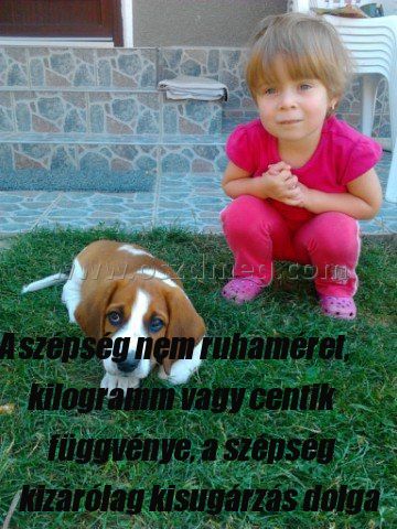 A szépség nem ruhaméret
 
A szépség nem ruhaméret, kilogramm vagy centik függvénye, a szépség kizárólag kisugárzás dolga