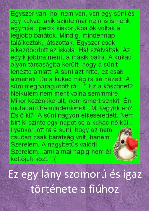 Ez egy lány szomorú és igaz története a fiúhoz
 
