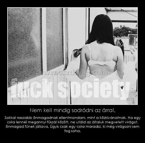 Nem kell mindig sodródni az árral,
 
Sokkal rosszabb önmagadnak ellentmondani, mint a közkívánatnak. Ha egy csíra lennél megannyi fűszál között, ne utáld az általuk megvetett virágot, önmagad fűnek játszva. Úgyis csak egy csíra maradsz, ki még virágozni sem fog soha.