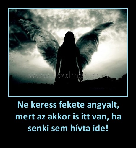 Ne keress fekete angyalt, mert az akkor is itt van, ha senki sem hívta ide!
 
